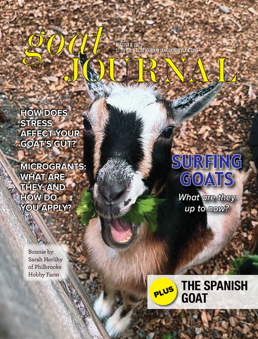 Goat Journal Digital Issue 11
